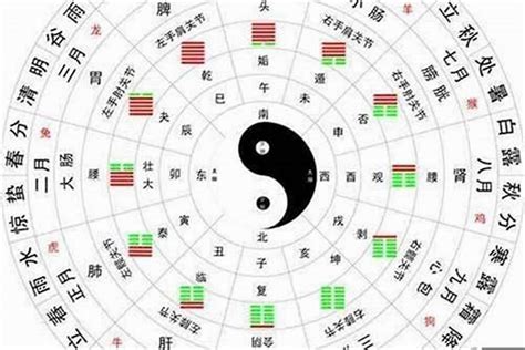 命格多金|八字五行属金的金命人的特点